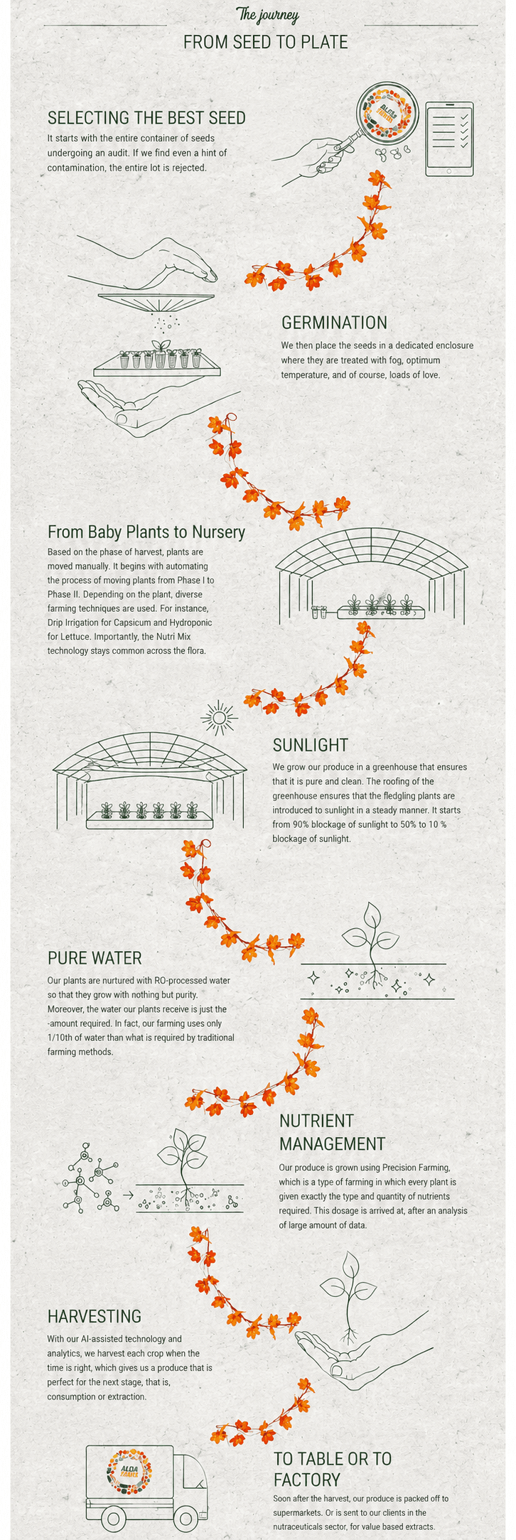 From Seed to Plate — 8-Stage Journey by Alexa Farms