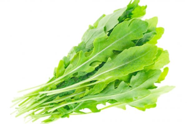 Arugula