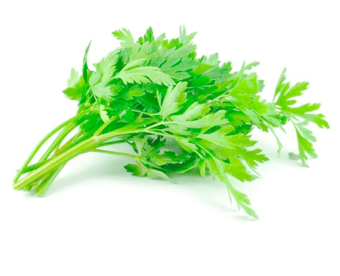 parsley