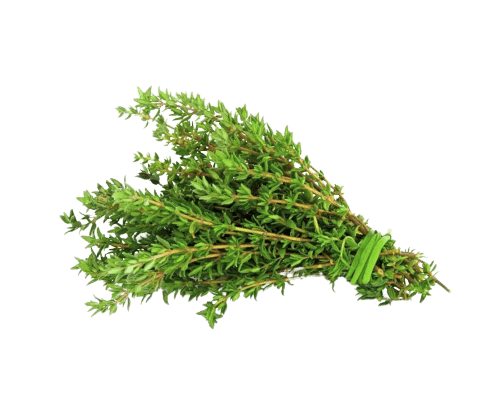 thyme